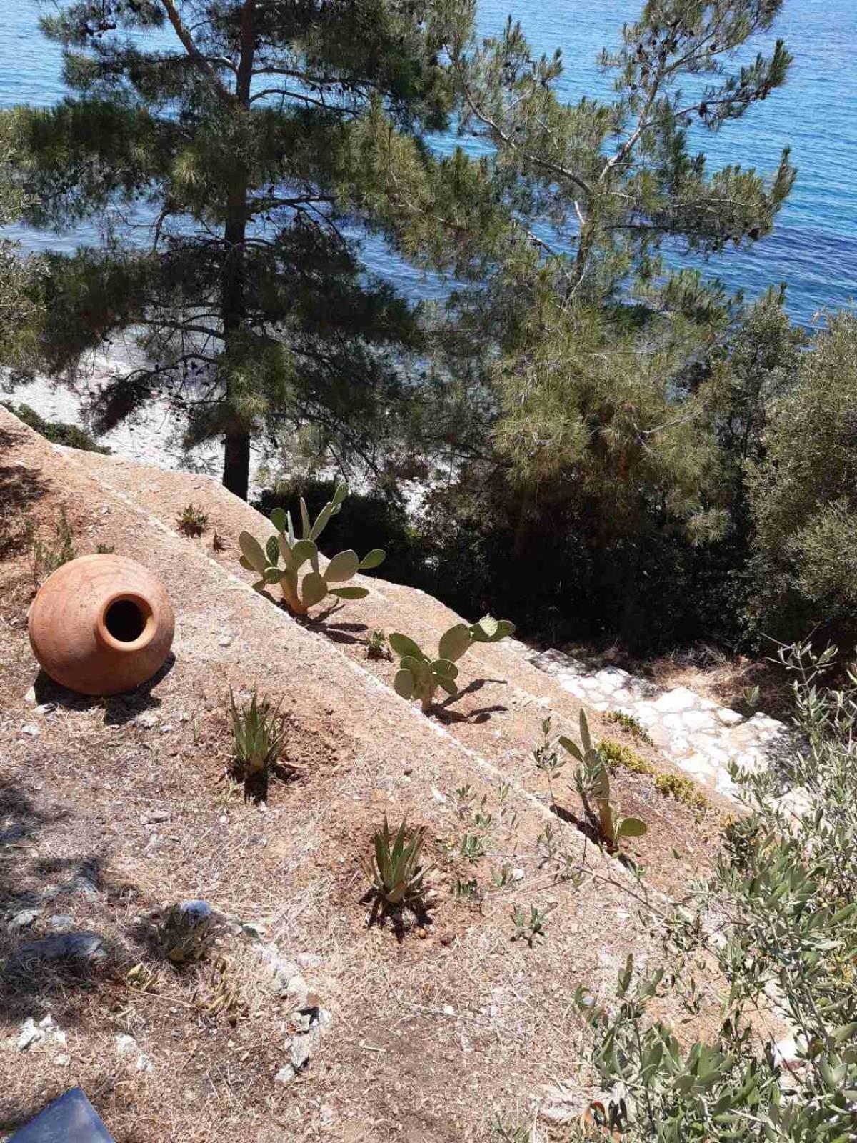 Δωμάτια Κόκκινος Πύργος Plomari Ngoại thất bức ảnh