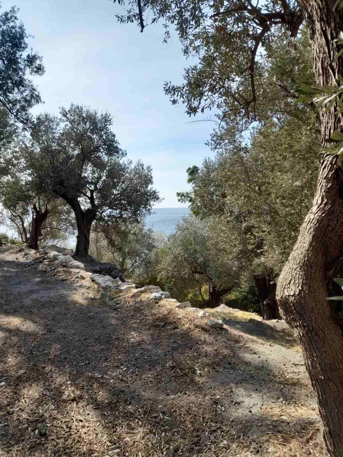 Δωμάτια Κόκκινος Πύργος Plomari Ngoại thất bức ảnh
